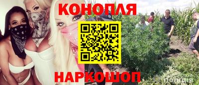 бошки Ярославль