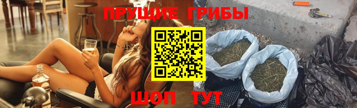 Псилоцибиновые грибы Cubensis Ахтубинск
